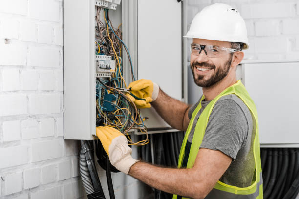 Best Electric Panel Repair  in Cassville, WV